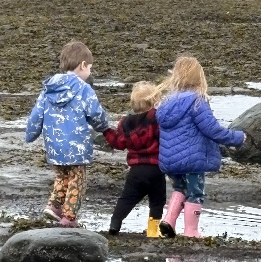 Children developing physical skills through active play